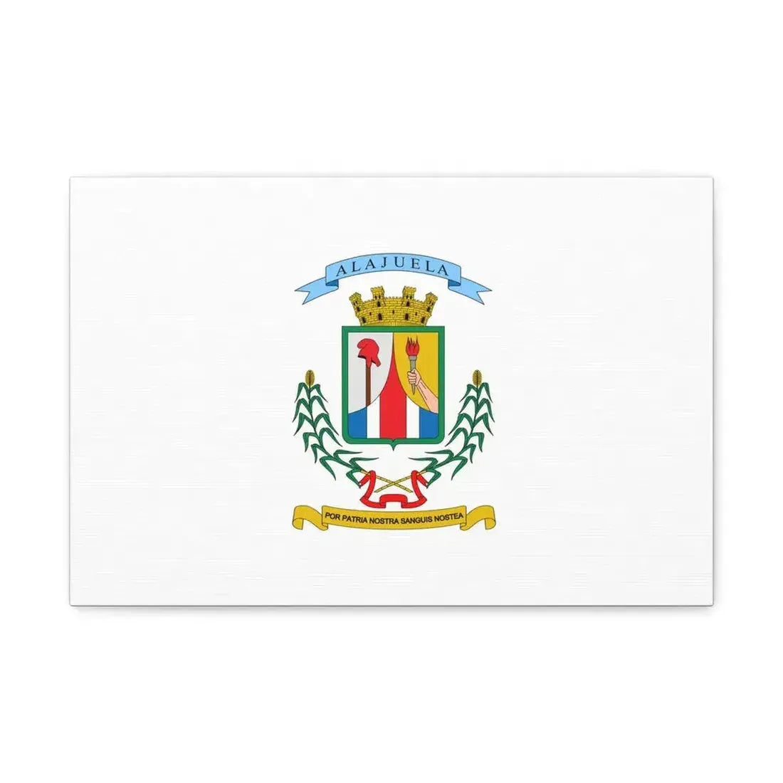 Flag of Alajuela Province Costa Rica - Canvas Wall Art - The Sticker Space