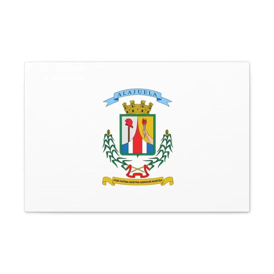 Flag of Alajuela Province Costa Rica - Canvas Wall Art - The Sticker Space