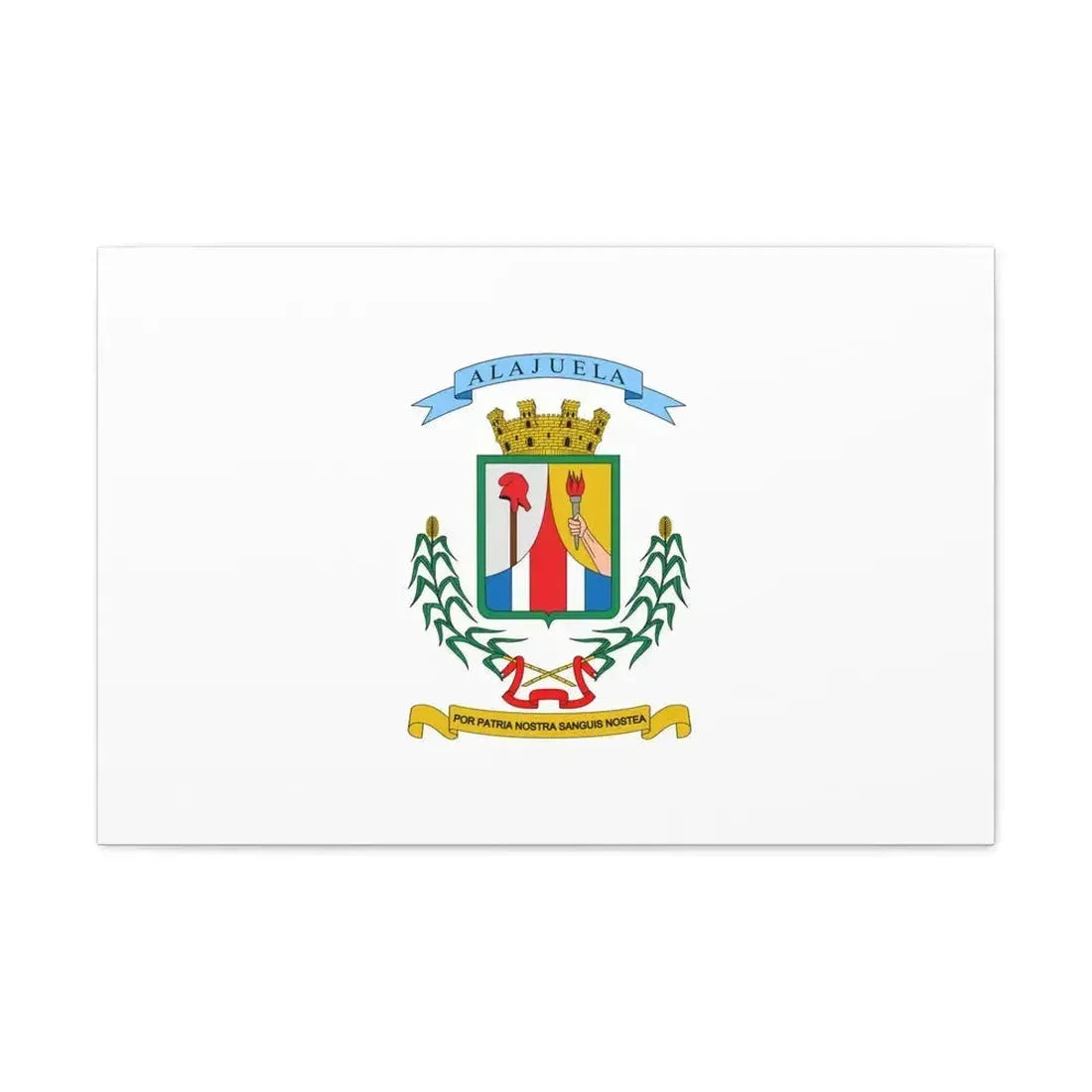 Flag of Alajuela Province Costa Rica - Canvas Wall Art - The Sticker Space