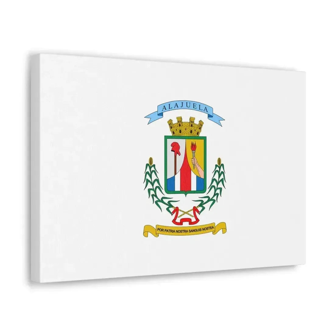 Flag of Alajuela Province Costa Rica - Canvas Wall Art - The Sticker Space