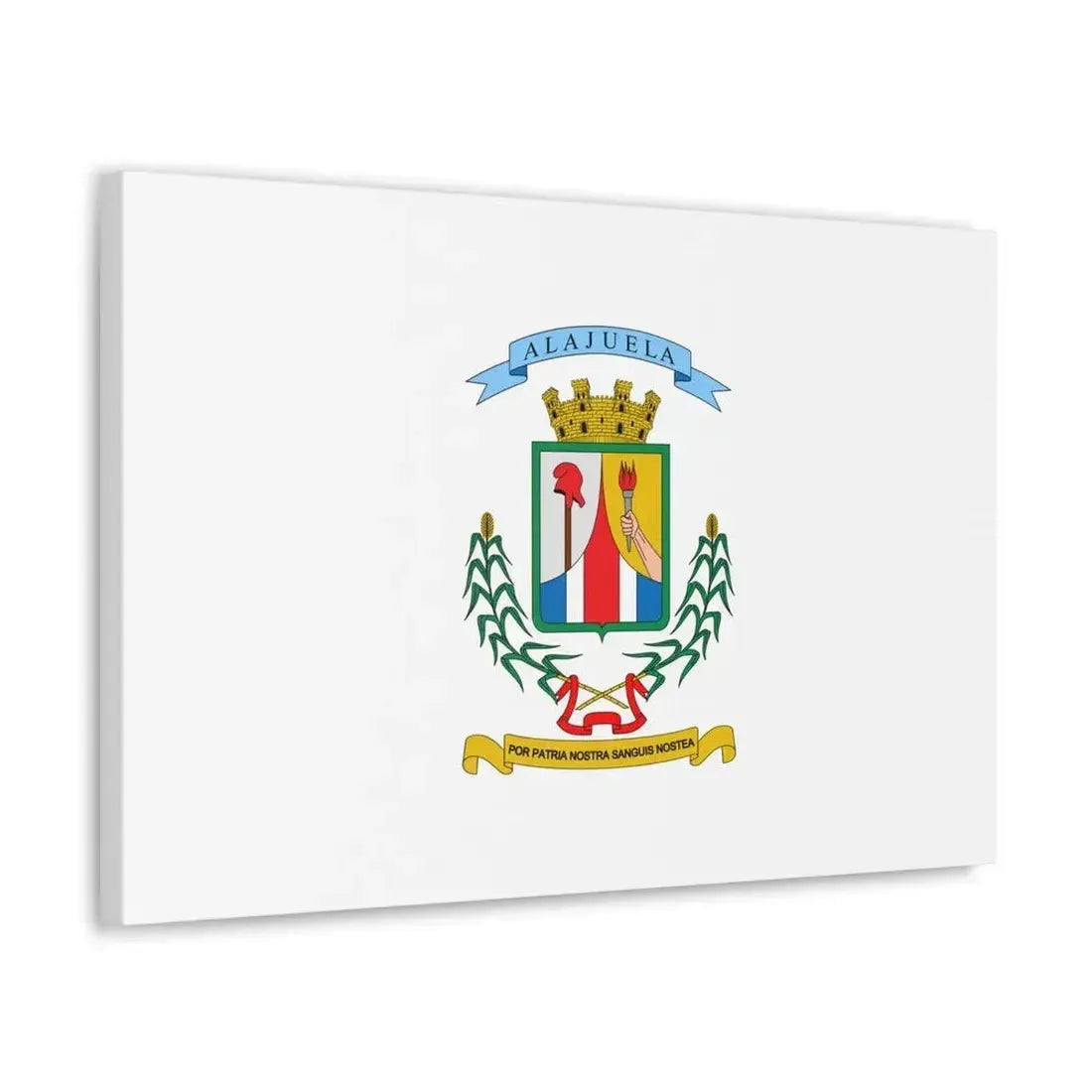 Flag of Alajuela Province Costa Rica - Canvas Wall Art - The Sticker Space
