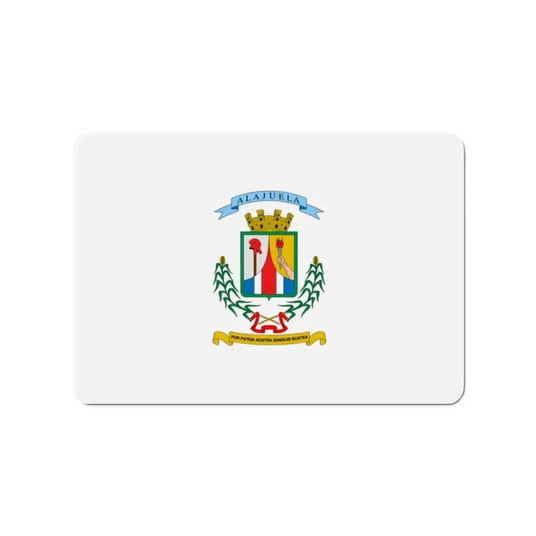 Flag of Alajuela Province Costa Rica - Refrigerator Magnet - The Sticker Space