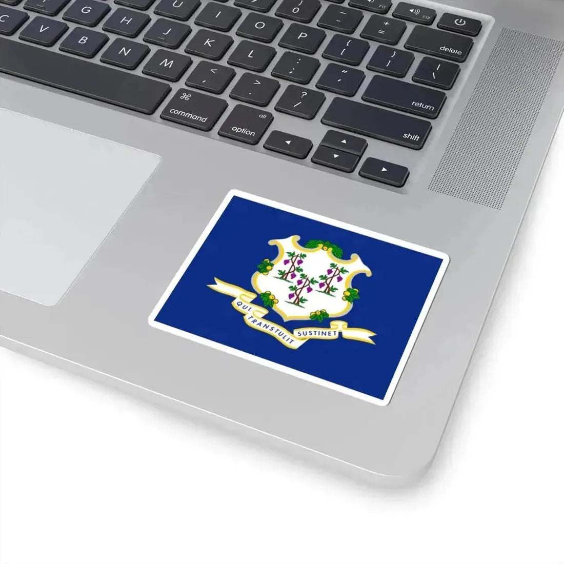 Flag of Connecticut (United States) STICKER Vinyl Kiss-Cut Decal - The Sticker Space