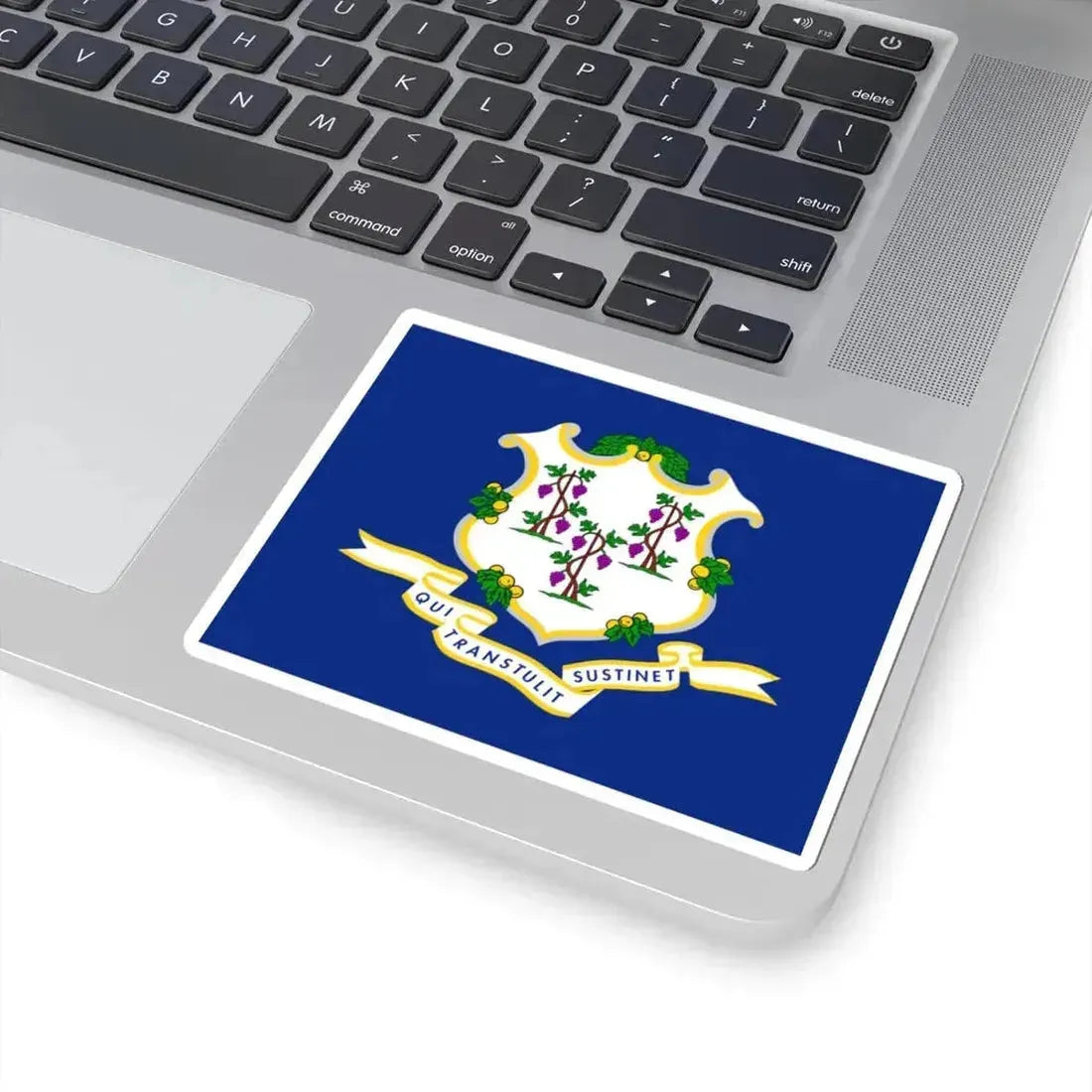 Flag of Connecticut (United States) STICKER Vinyl Kiss-Cut Decal - The Sticker Space