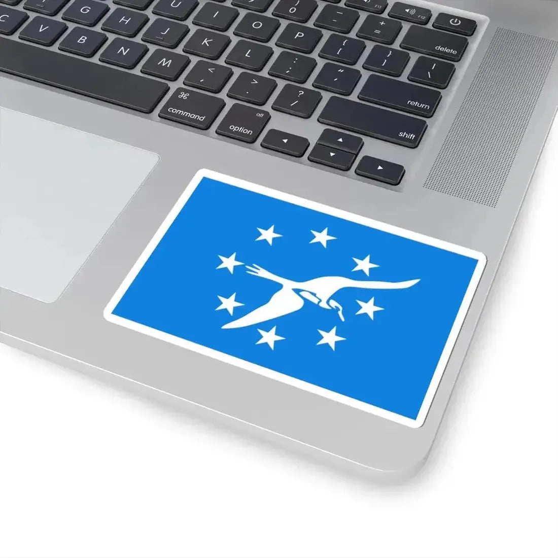 Flag of Corpus Christi Texas (United States) STICKER Vinyl Kiss-Cut Decal - The Sticker Space