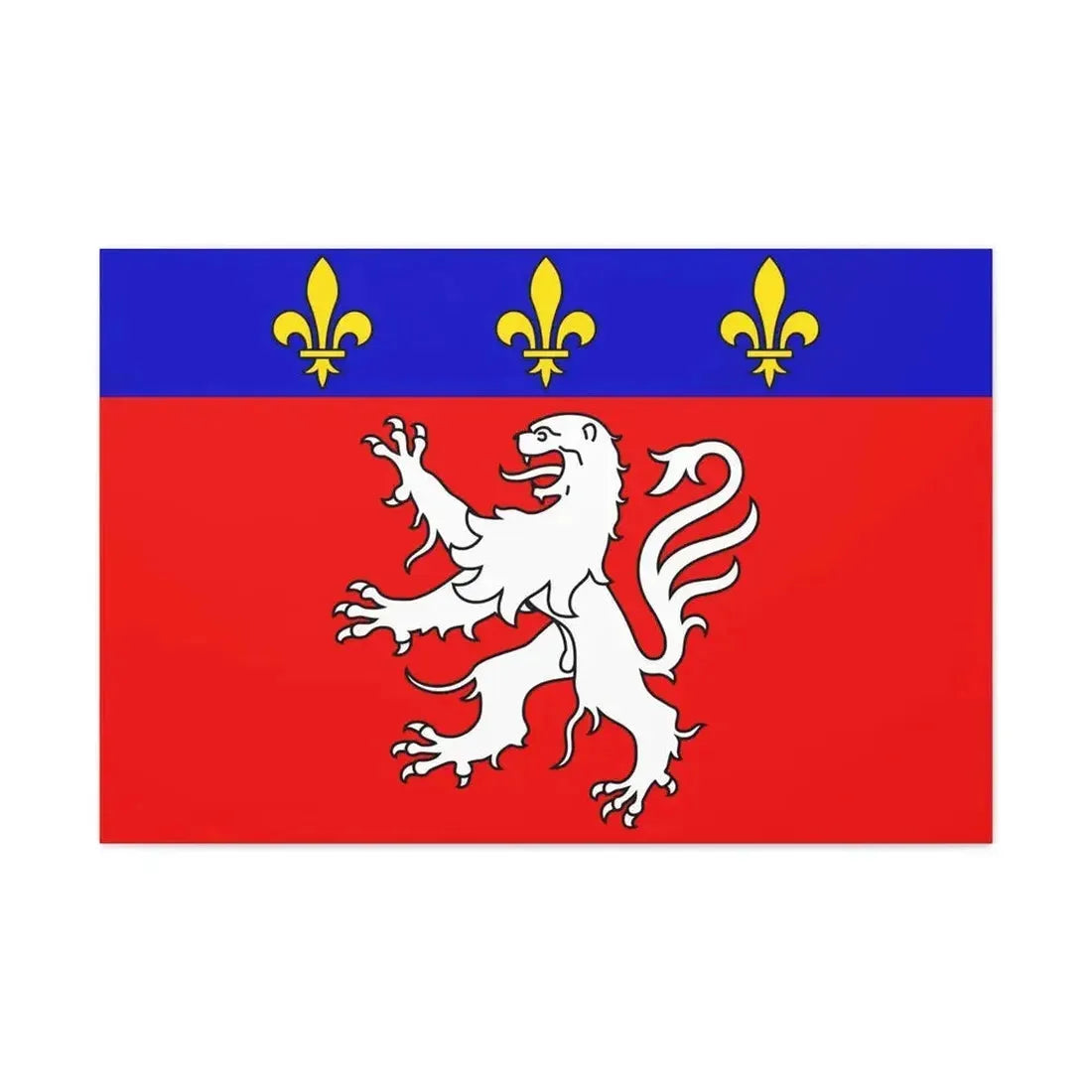 Flag of Grand Lyon France 2 - Canvas Wall Art - The Sticker Space