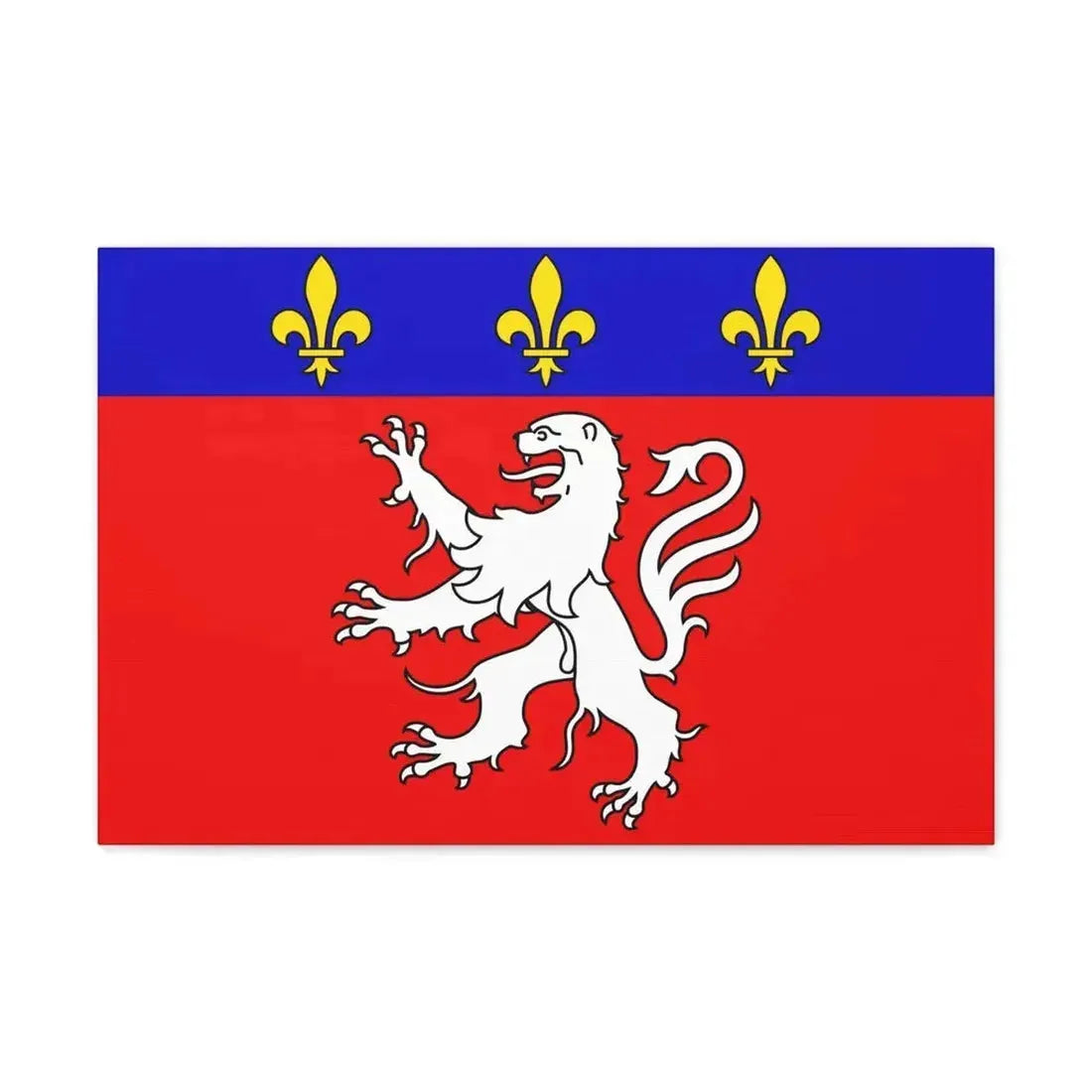 Flag of Grand Lyon France 2 - Canvas Wall Art - The Sticker Space