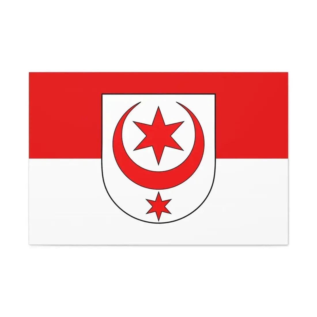 Flag of Halle Saale Germany - Canvas Wall Art - The Sticker Space