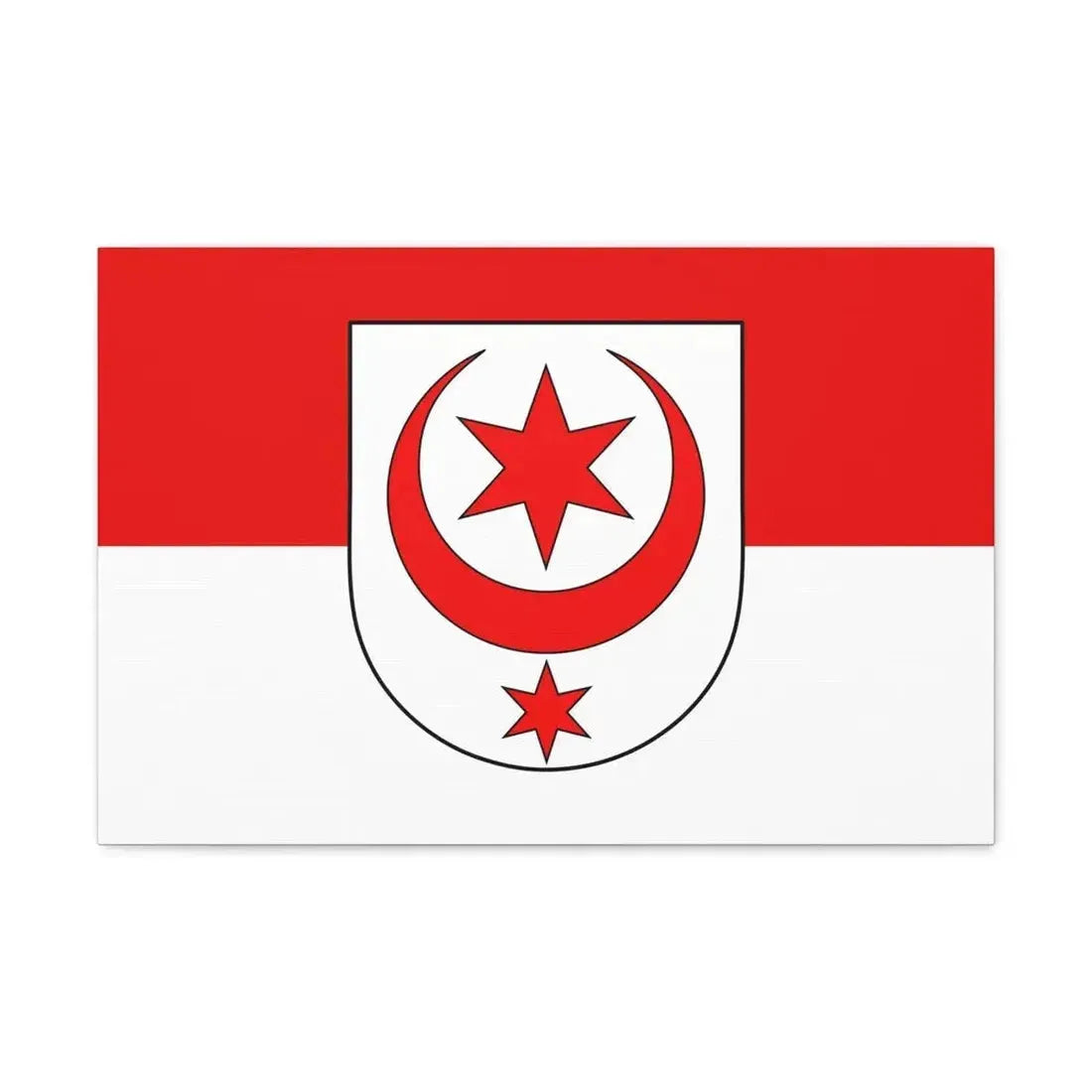 Flag of Halle Saale Germany - Canvas Wall Art - The Sticker Space