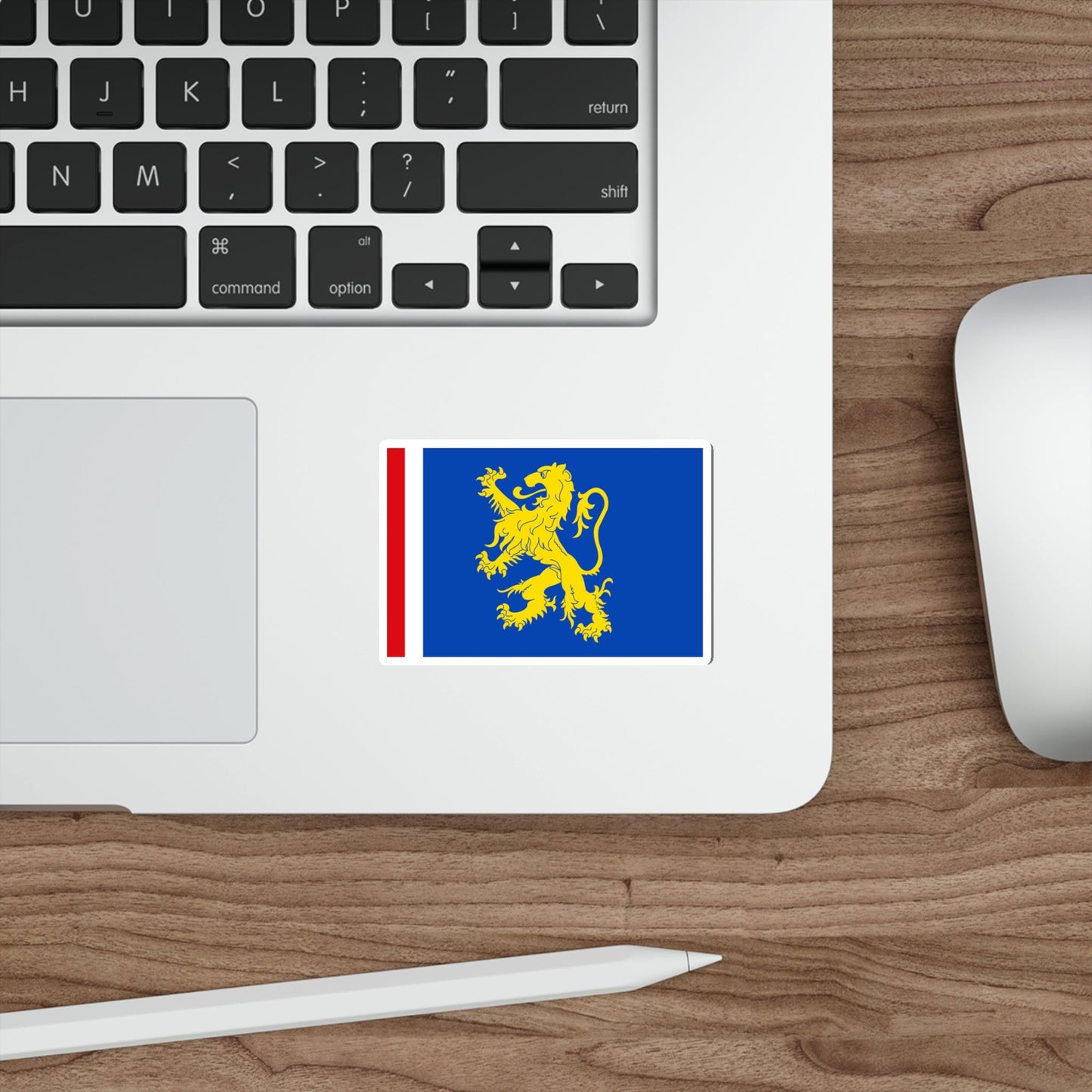 Flag of Leeuwarden the capital of the province of Friesland Netherlands STICKER Vinyl Die-Cut Decal-The Sticker Space