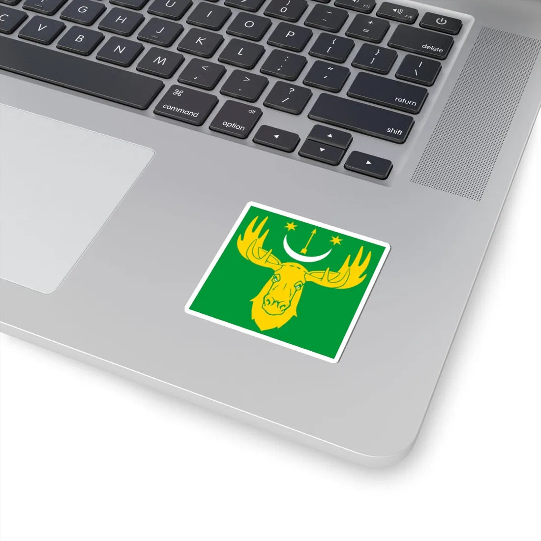 Flag of Losynets (Ukraine) STICKER Vinyl Kiss-Cut Decal - The Sticker Space