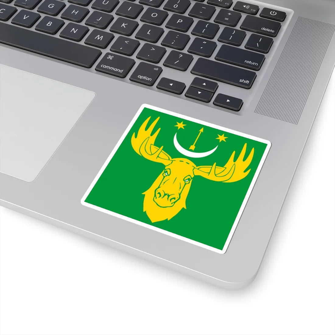 Flag of Losynets (Ukraine) STICKER Vinyl Kiss-Cut Decal - The Sticker Space