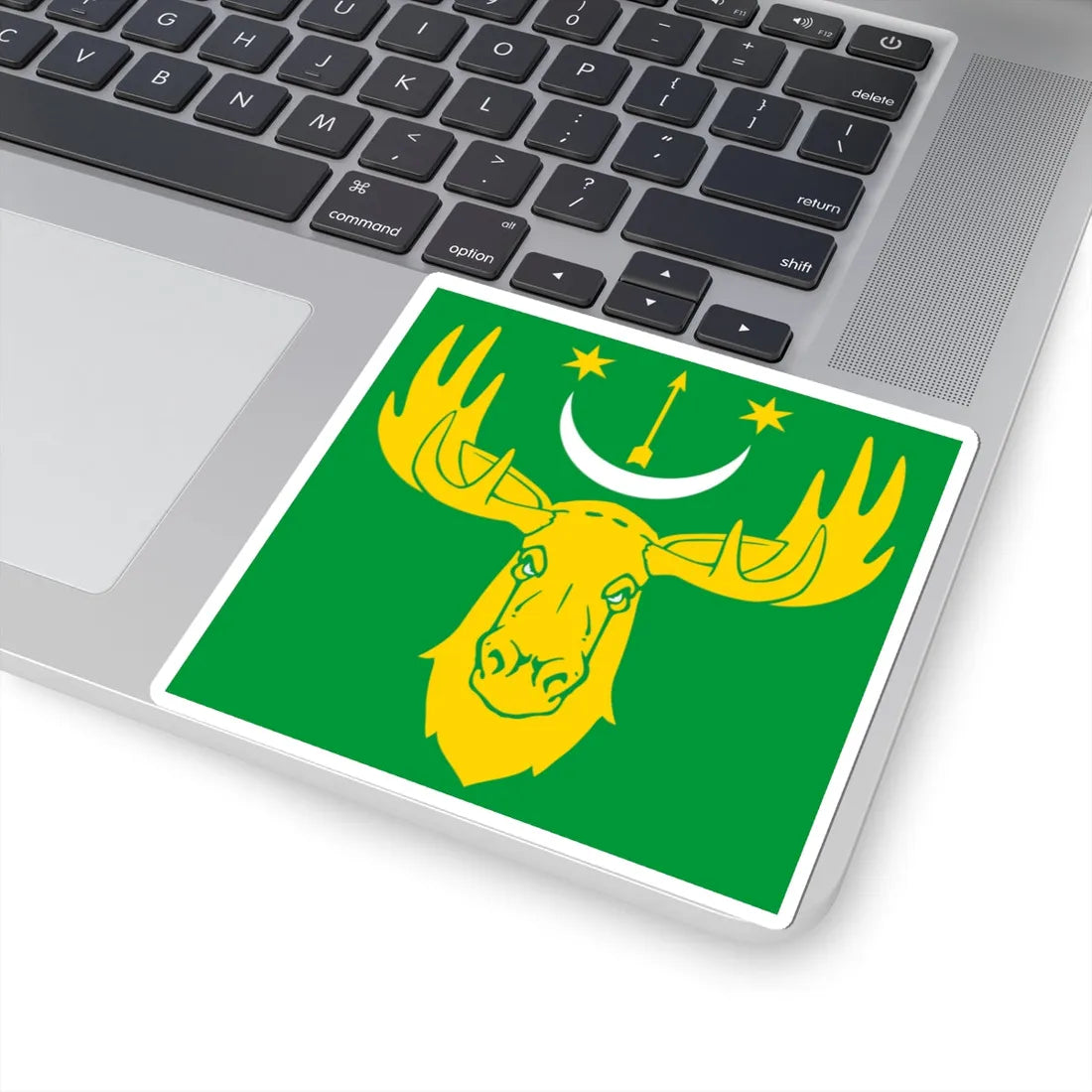 Flag of Losynets (Ukraine) STICKER Vinyl Kiss-Cut Decal - The Sticker Space