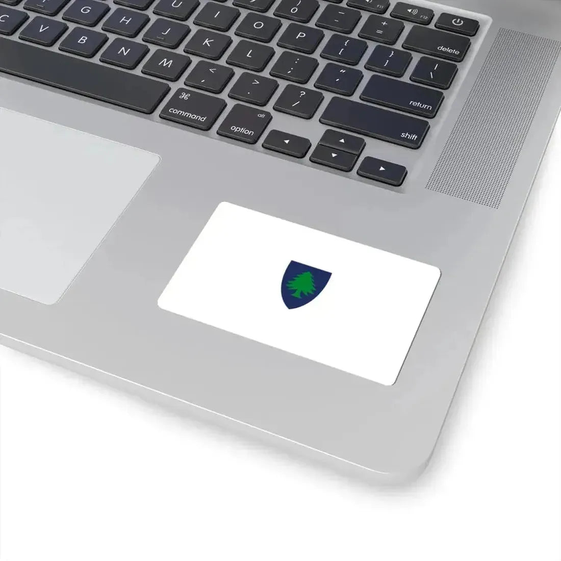 Flag of Massachusetts 1908-1971 (United States) STICKER Vinyl Kiss-Cut Decal - The Sticker Space