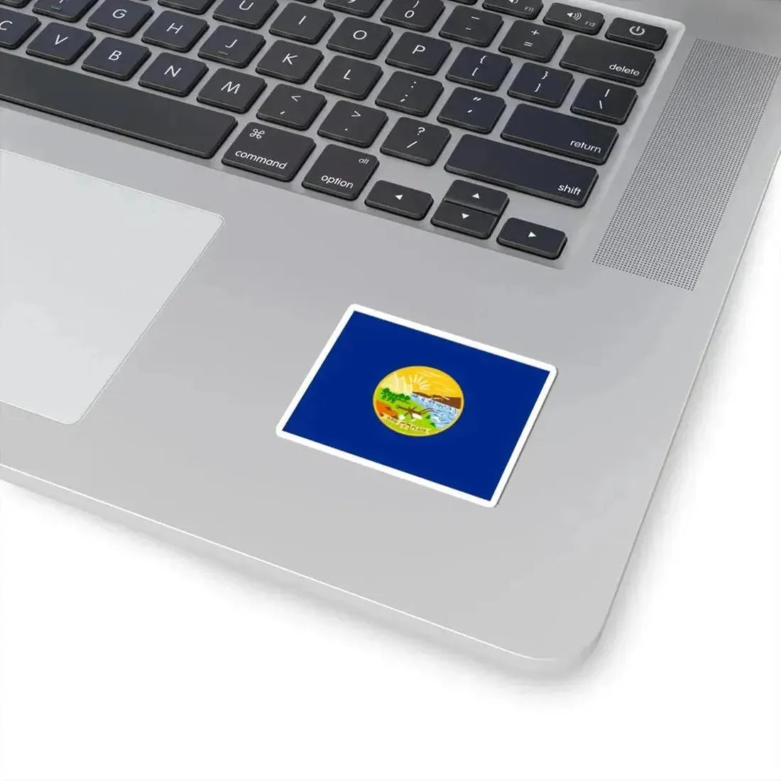 Flag of Montana 1905-1981 (United States) STICKER Vinyl Kiss-Cut Decal - The Sticker Space