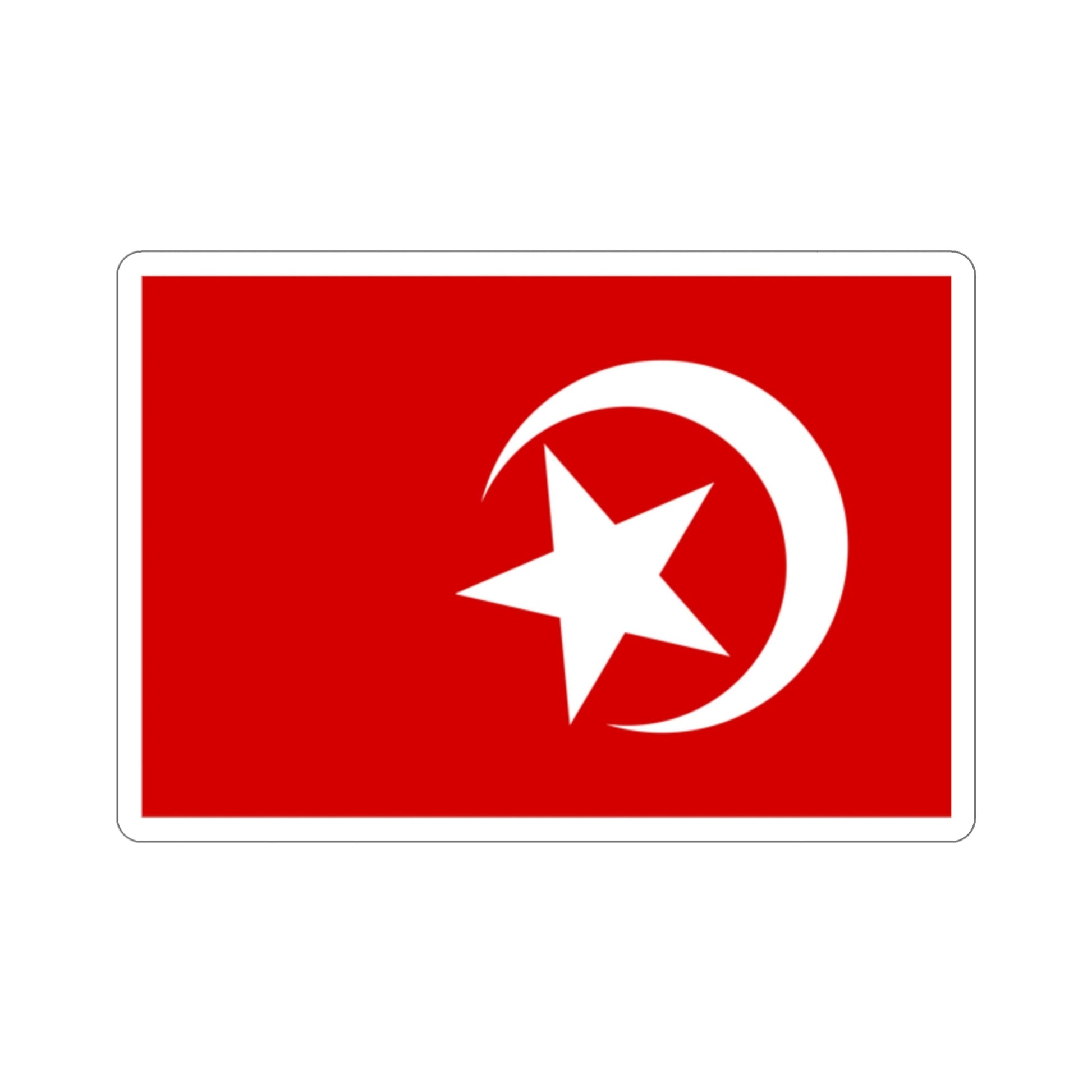 Flag of Nation of Islam STICKER Vinyl Die-Cut Decal-2 Inch-The Sticker Space