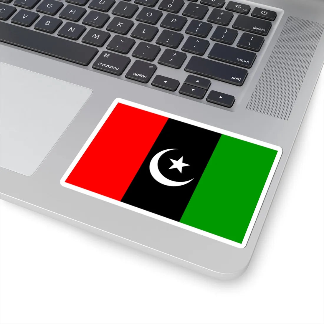 Flag of Pakistan Peoples Party (Pakistan) STICKER Vinyl Kiss-Cut Decal - The Sticker Space
