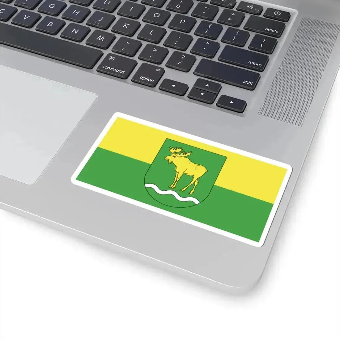 Flag of Rasony (Belarus) STICKER Vinyl Kiss-Cut Decal - The Sticker Space