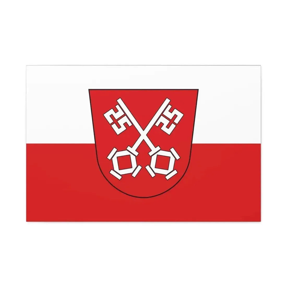 Flag of Regensburg 2 Germany - Canvas Wall Art - The Sticker Space