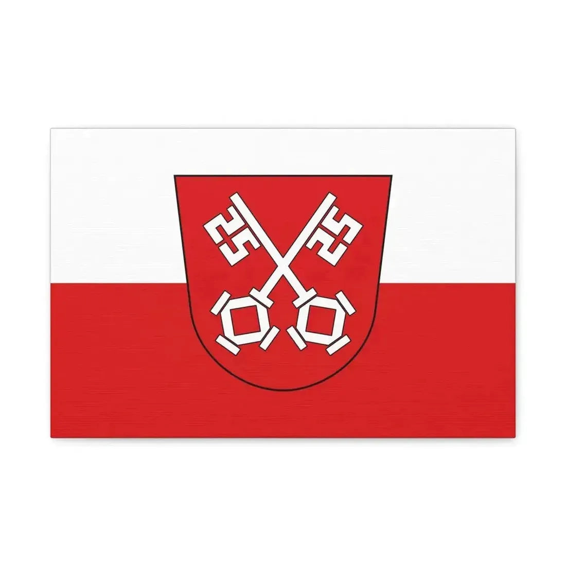 Flag of Regensburg 2 Germany - Canvas Wall Art - The Sticker Space