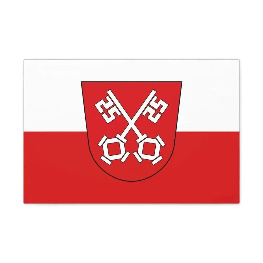 Flag of Regensburg 2 Germany - Canvas Wall Art - The Sticker Space