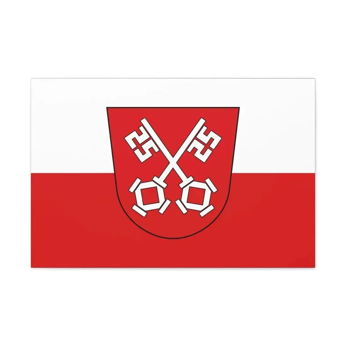 Flag of Regensburg 2 Germany - Canvas Wall Art - The Sticker Space