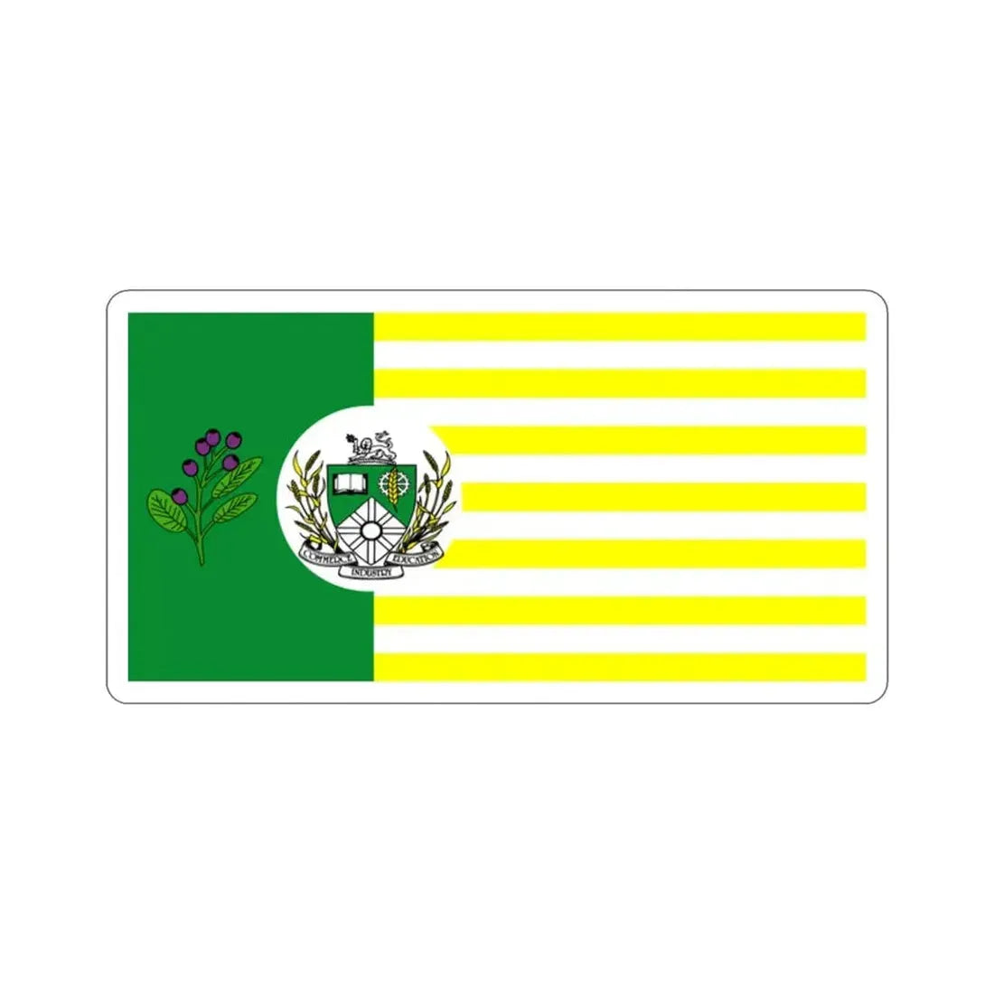 Flag of Saskatoon Canada STICKER Vinyl Die-Cut Decal - The Sticker Space