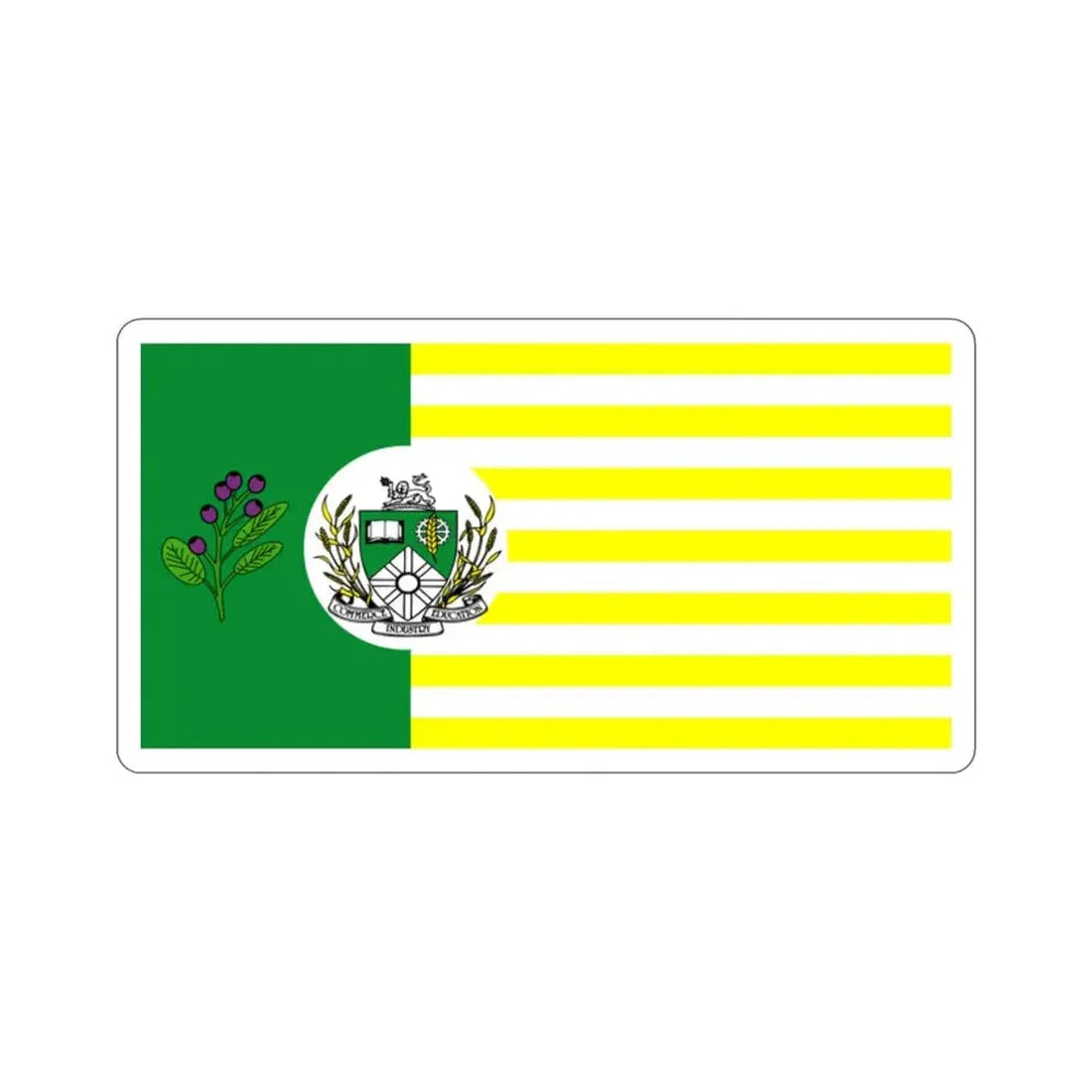 Flag of Saskatoon Canada STICKER Vinyl Die-Cut Decal - The Sticker Space