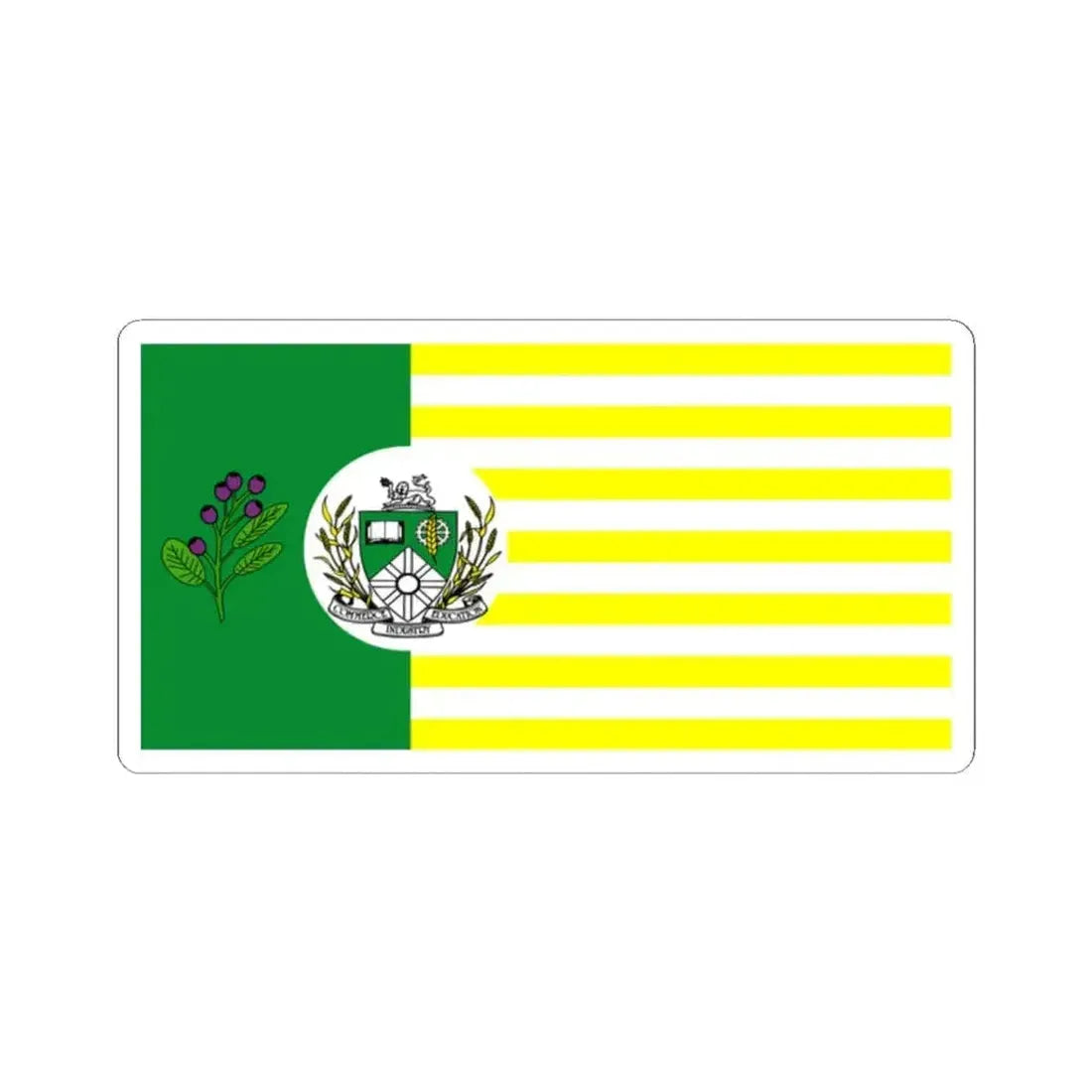 Flag of Saskatoon Canada - STICKER Vinyl Kiss-Cut Decal 2 Inch White - The Sticker Space