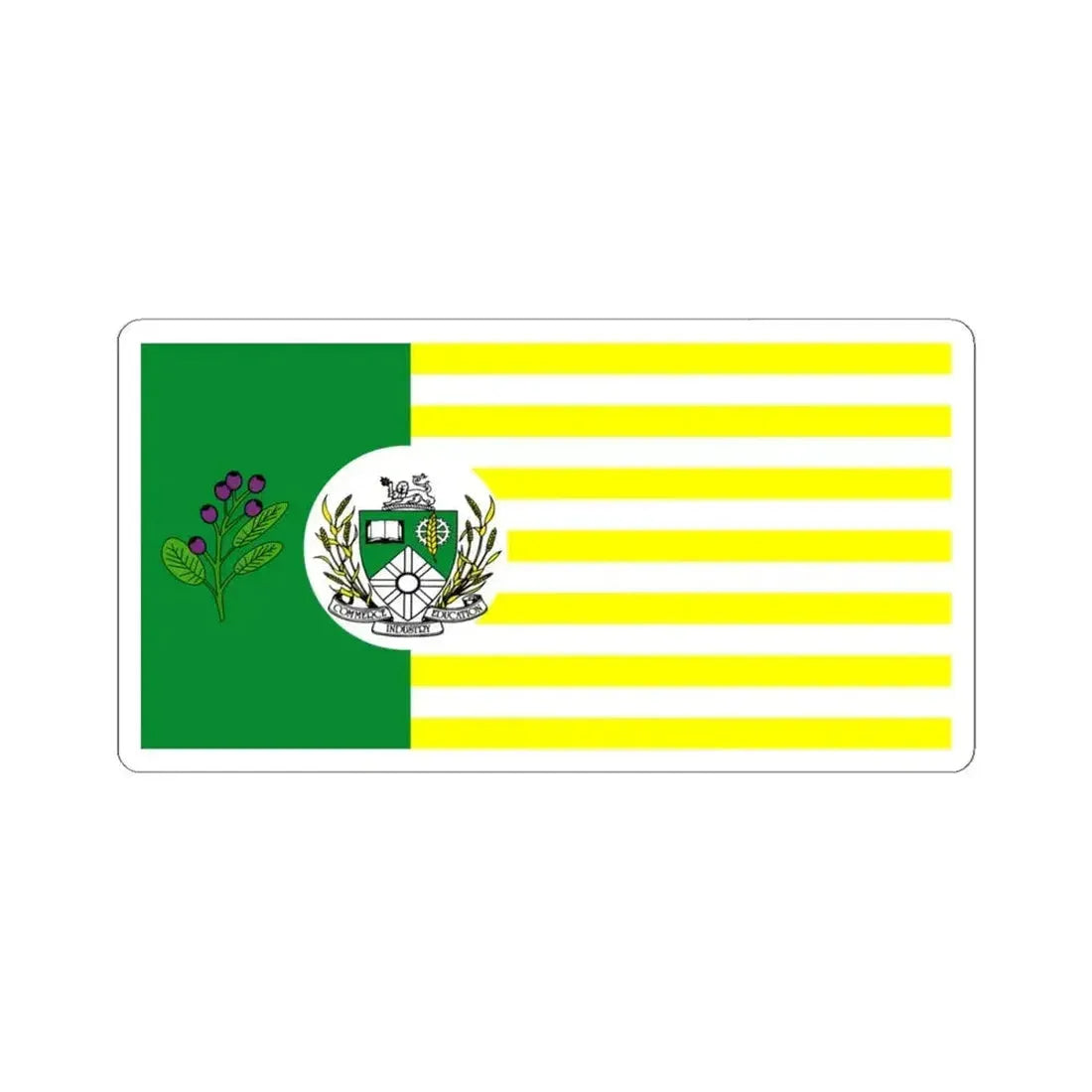 Flag of Saskatoon Canada - STICKER Vinyl Kiss-Cut Decal 4 Inch White - The Sticker Space