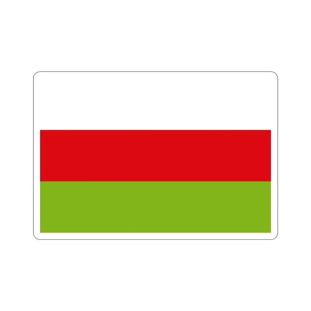 Flag of Sincelejo Colombia STICKER Vinyl Die-Cut Decal - The Sticker Space