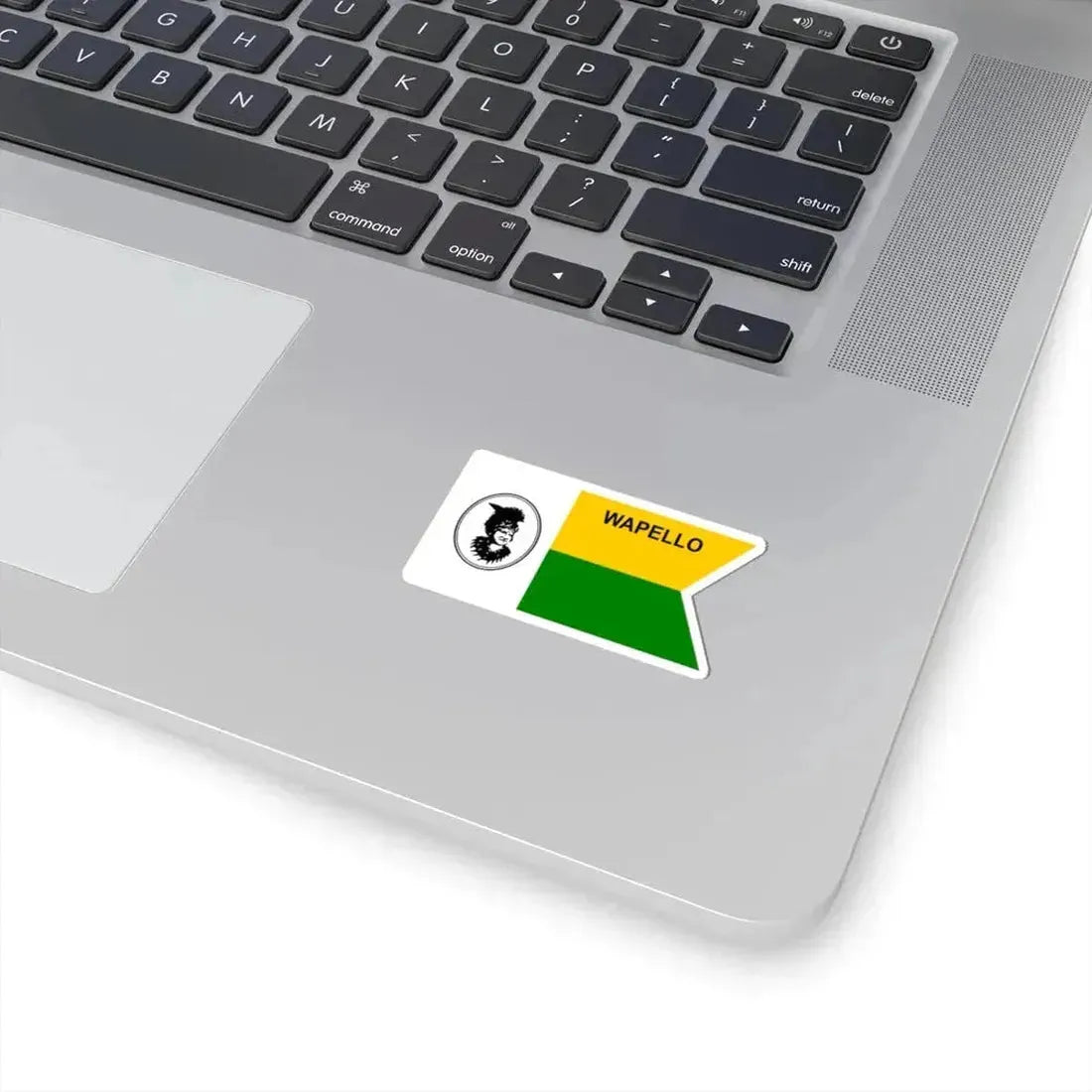 Flag of Wapello County Iowa Sesquicentennial (United States) STICKER Vinyl Kiss-Cut Decal - The Sticker Space