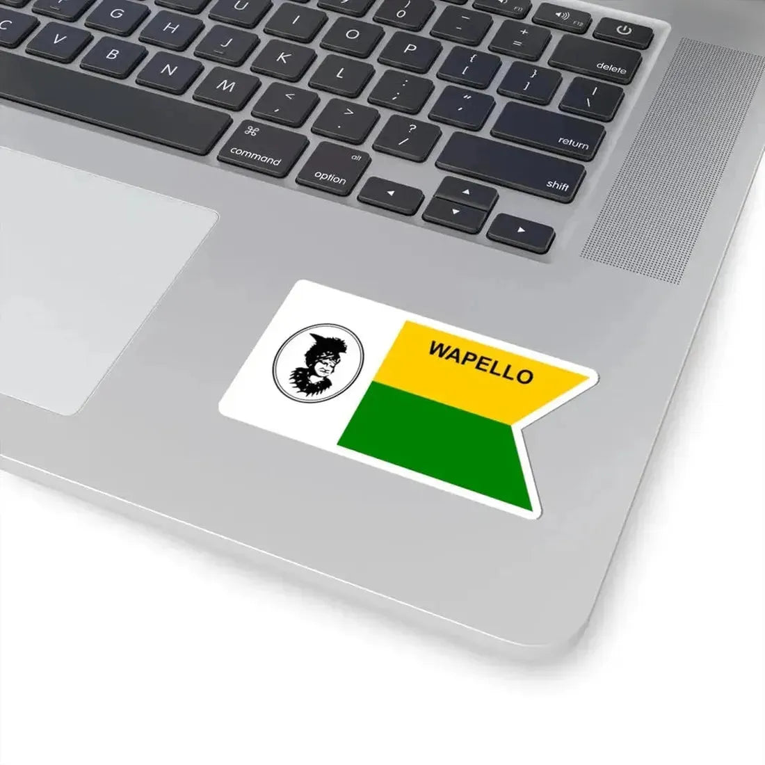 Flag of Wapello County Iowa Sesquicentennial (United States) STICKER Vinyl Kiss-Cut Decal - The Sticker Space