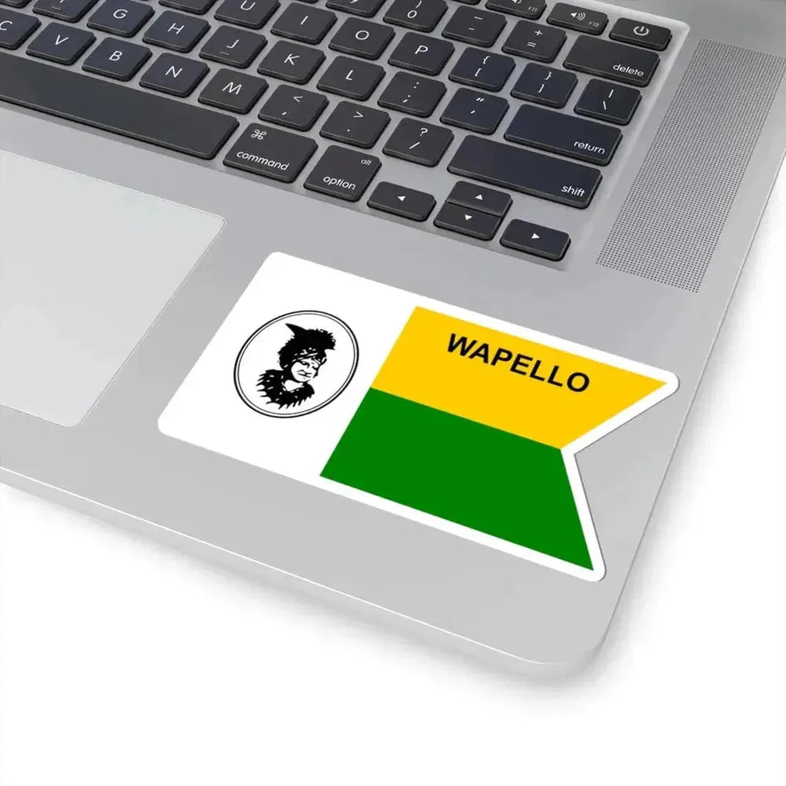 Flag of Wapello County Iowa Sesquicentennial (United States) STICKER Vinyl Kiss-Cut Decal - The Sticker Space