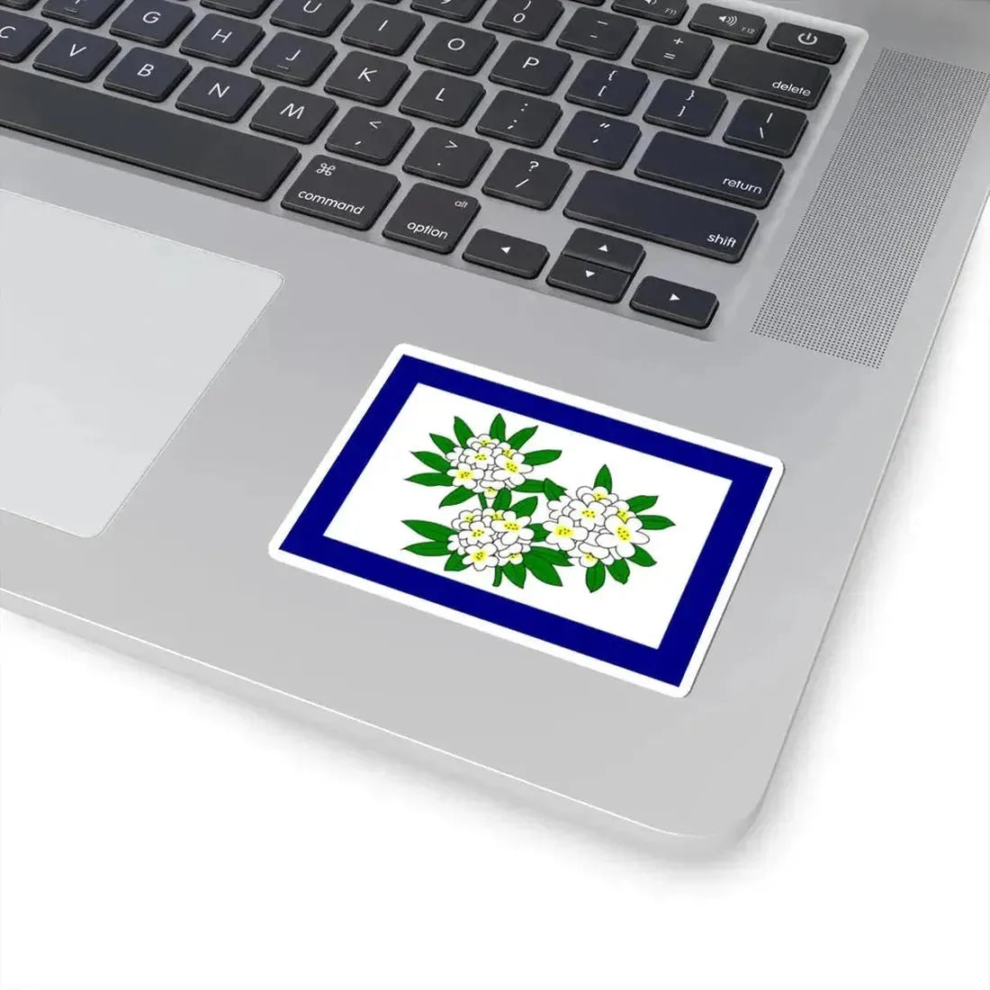 Flag of West Virginia 1905-1907 (United States) STICKER Vinyl Kiss-Cut Decal - The Sticker Space