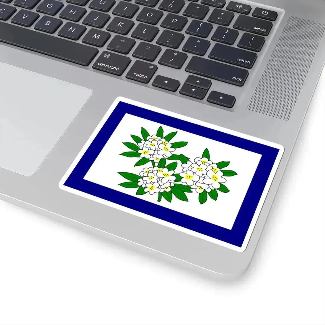 Flag of West Virginia 1905-1907 (United States) STICKER Vinyl Kiss-Cut Decal - The Sticker Space