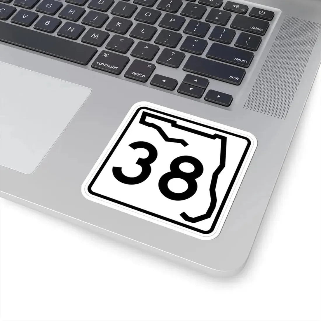 Florida 38 (Florida) (Road Sign) STICKER Vinyl Kiss-Cut Decal - The Sticker Space