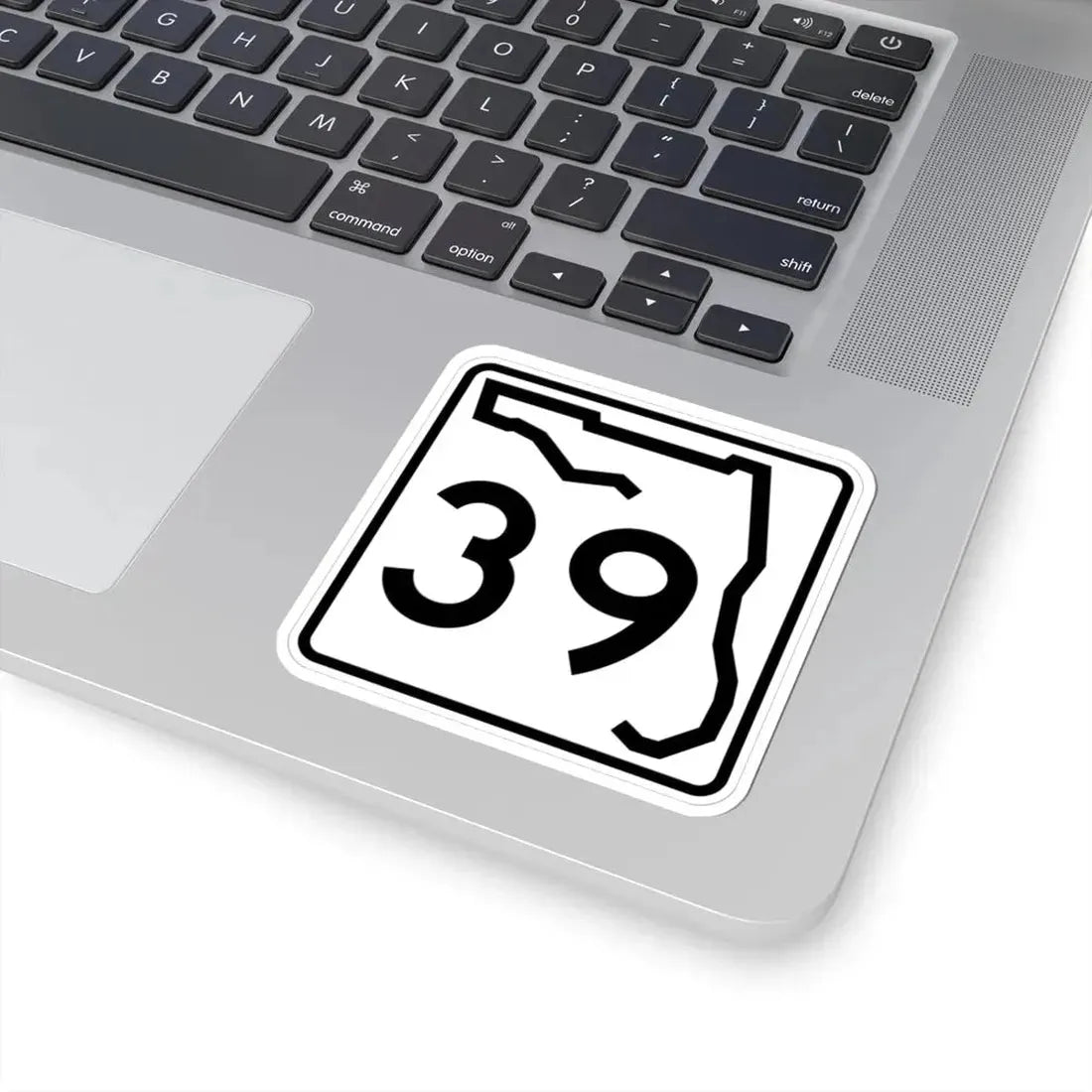 Florida 39 (Florida) (Road Sign) STICKER Vinyl Kiss-Cut Decal - The Sticker Space