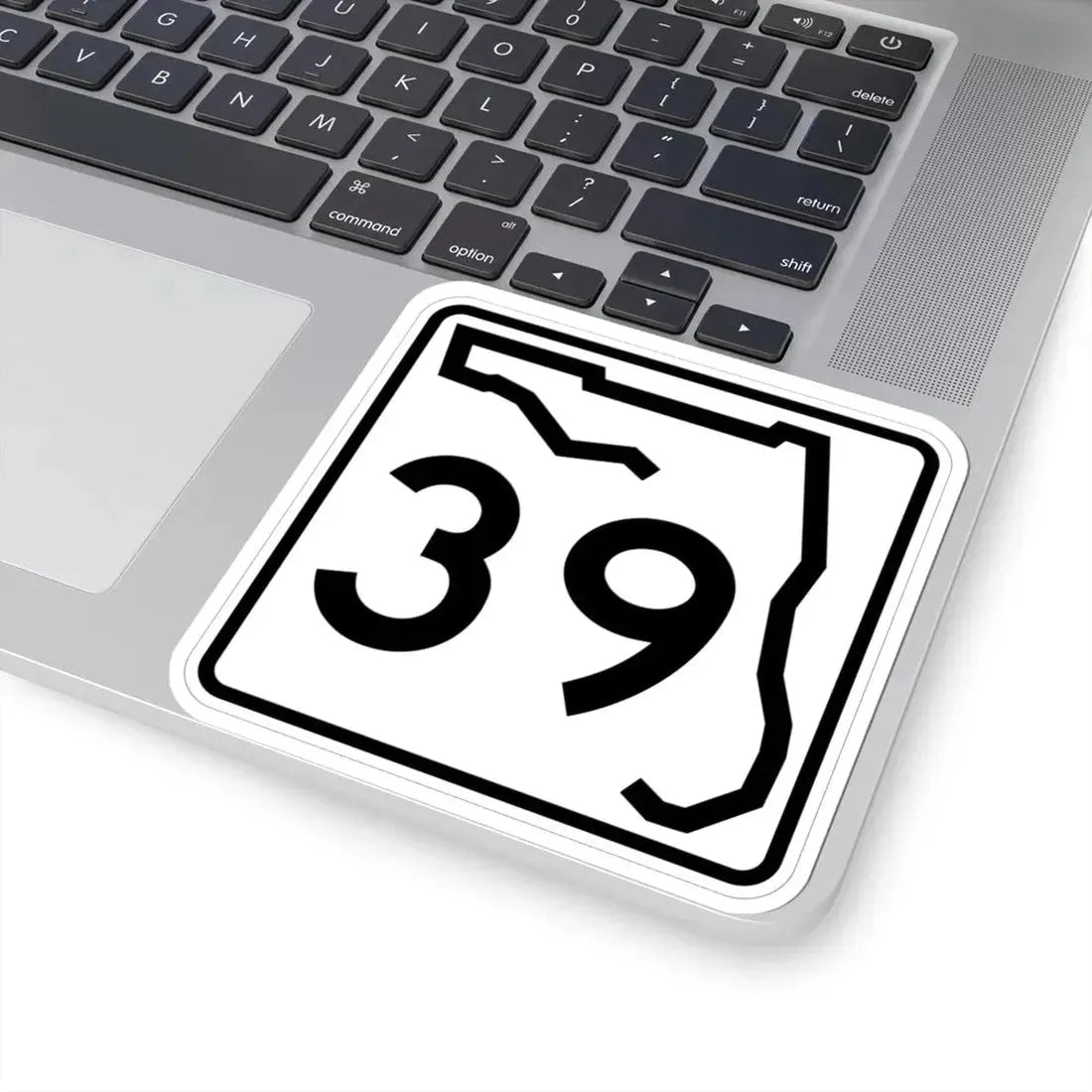 Florida 39 (Florida) (Road Sign) STICKER Vinyl Kiss-Cut Decal - The Sticker Space