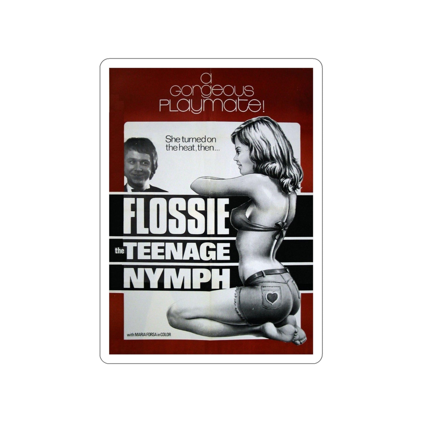 FLOSSY THE TEENAGE NYMPH 1974 Movie Poster STICKER Vinyl Die-Cut Decal-4 Inch-The Sticker Space