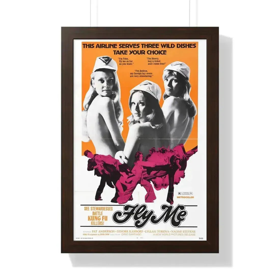 FLY ME 1973 - Framed Movie Poster 16″ x 24″ Walnut - The Sticker Space