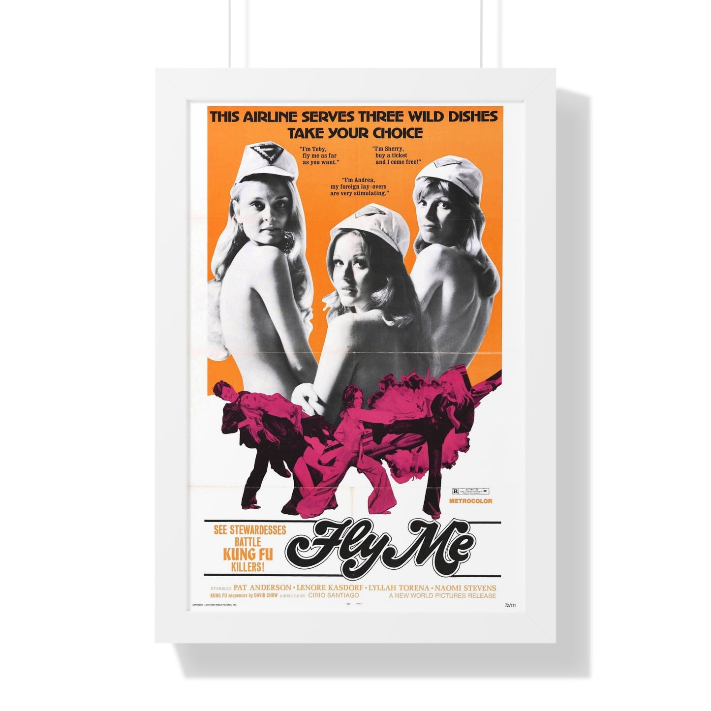 FLY ME 1973 - Framed Movie Poster-16″ x 24″-The Sticker Space