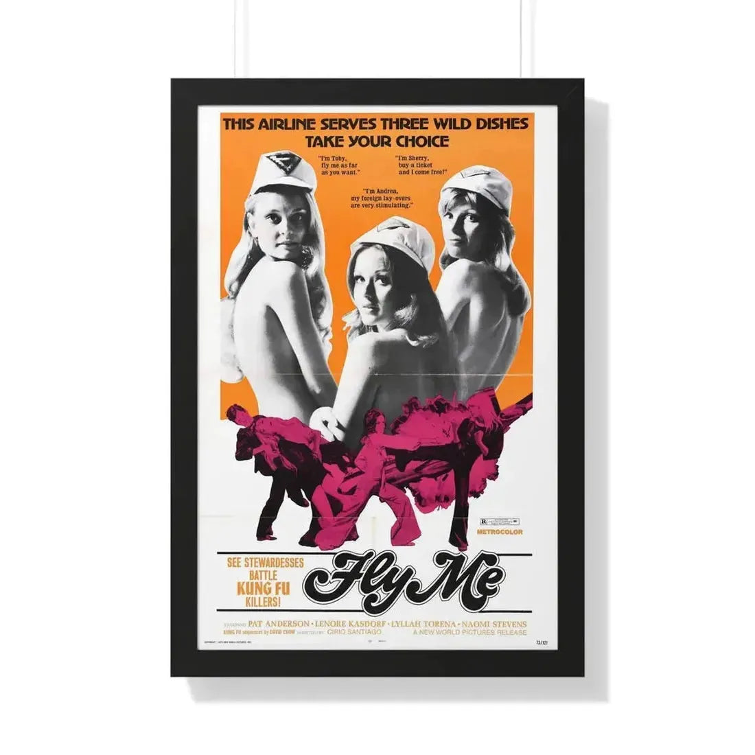 FLY ME 1973 - Framed Movie Poster - The Sticker Space