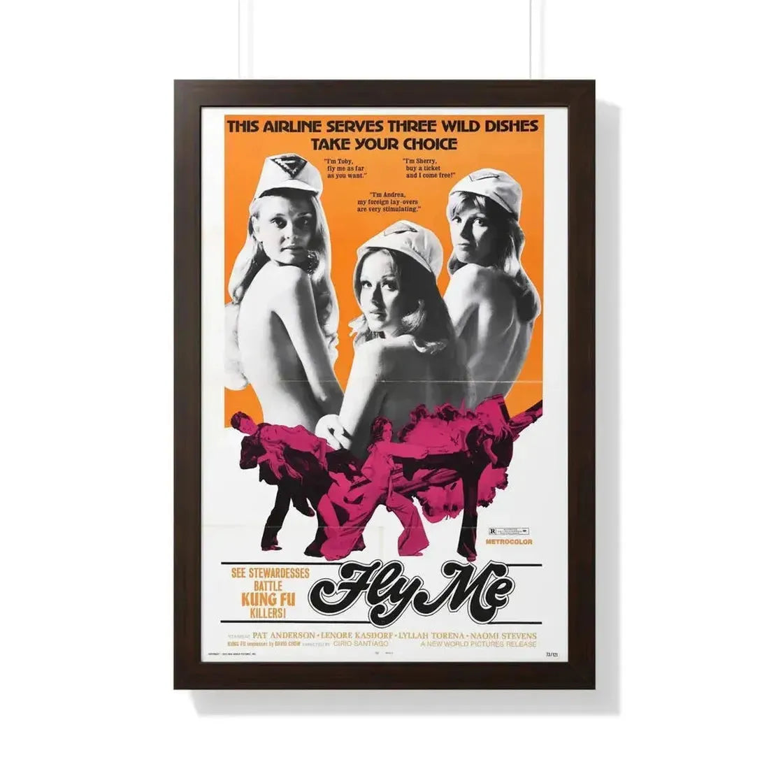 FLY ME 1973 - Framed Movie Poster - The Sticker Space