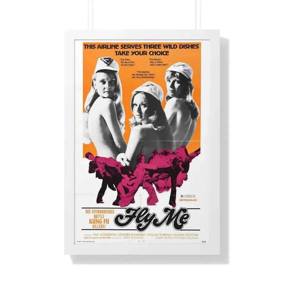 FLY ME 1973 - Framed Movie Poster - The Sticker Space