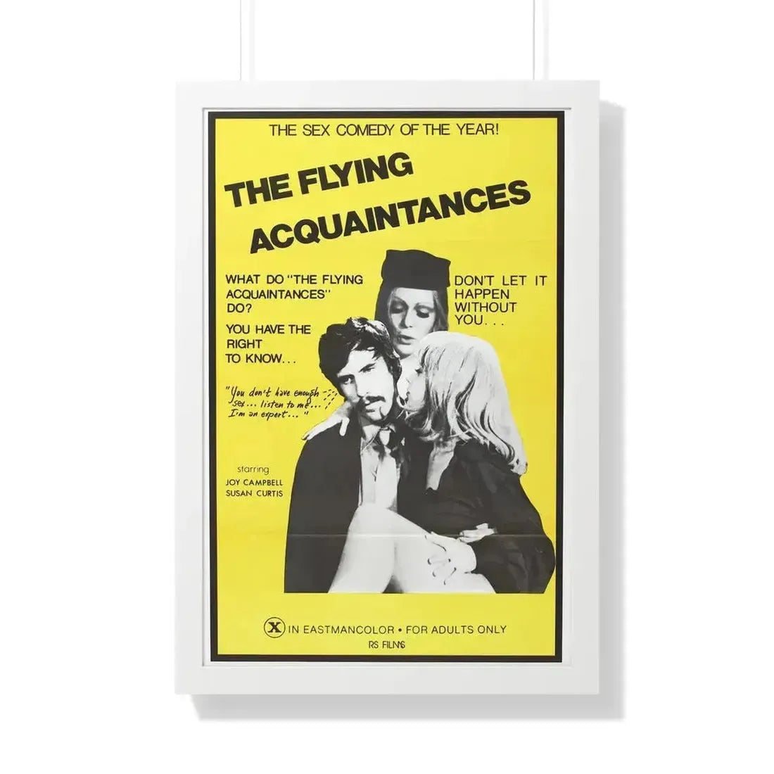 FLYING ACQUAINTENCES 1973 - Framed Movie Poster 20" x 30" White - The Sticker Space