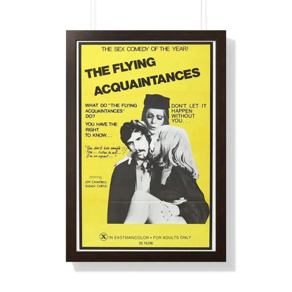 FLYING ACQUAINTENCES 1973 - Framed Movie Poster - The Sticker Space