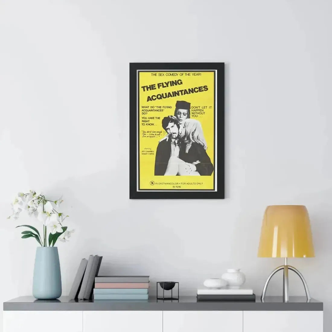 FLYING ACQUAINTENCES 1973 - Framed Movie Poster - The Sticker Space