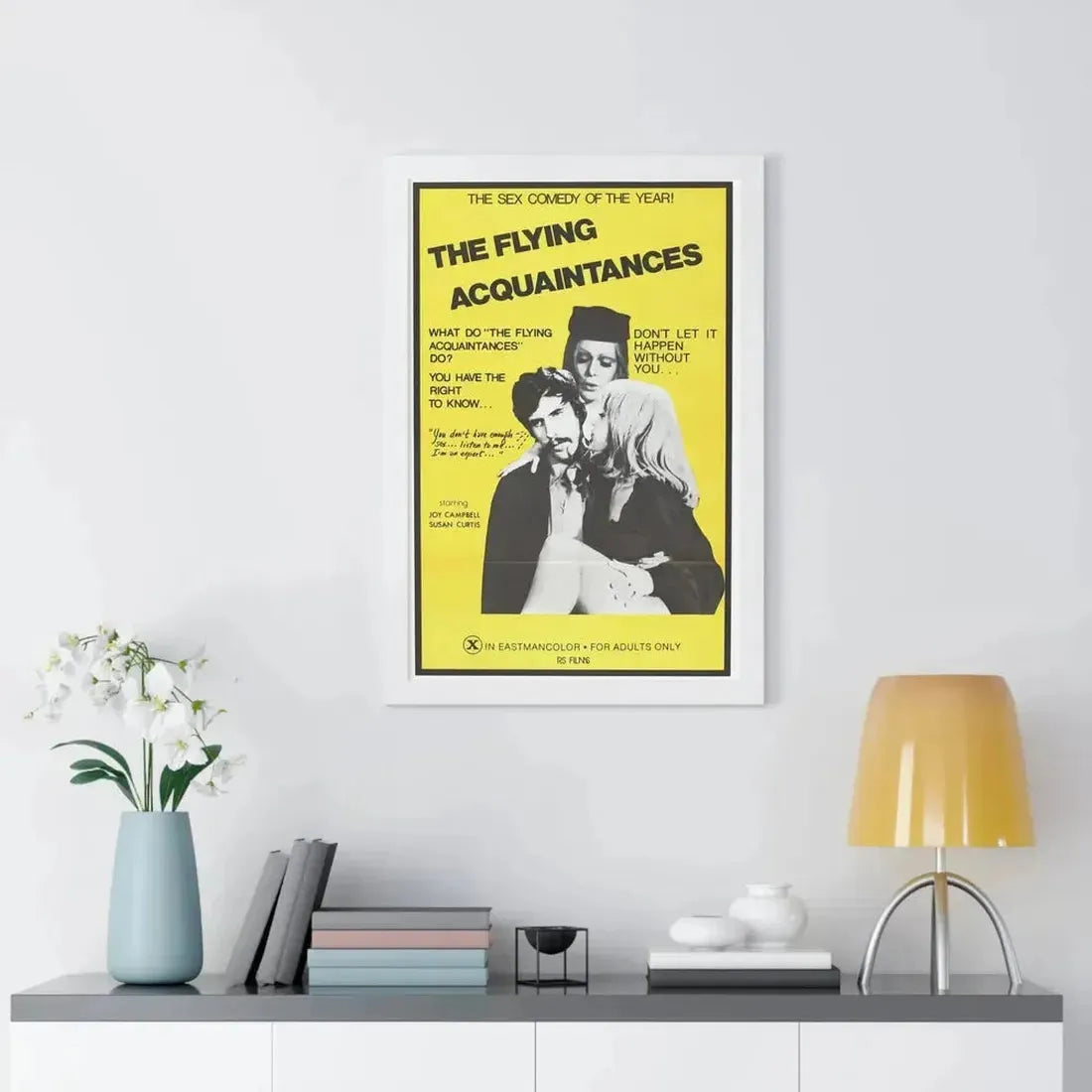 FLYING ACQUAINTENCES 1973 - Framed Movie Poster - The Sticker Space
