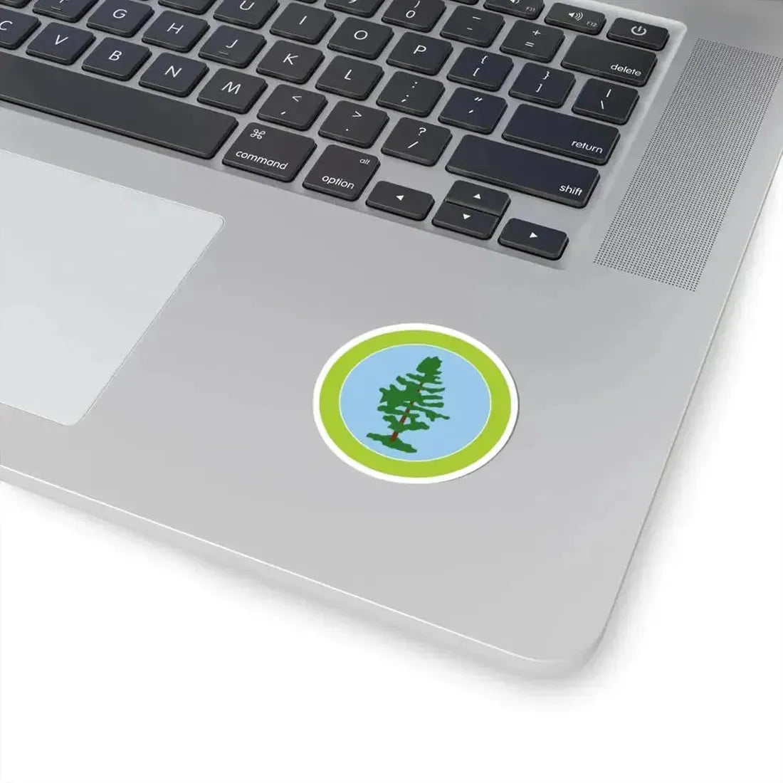 Forestry (Boy Scout Merit Badge) STICKER Vinyl Kiss-Cut Decal - The Sticker Space